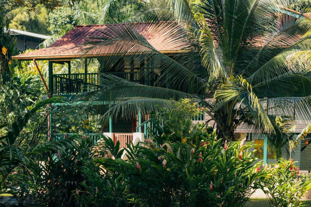Casa De Mono Bocas Bed and Breakfast Big Creek Buitenkant foto