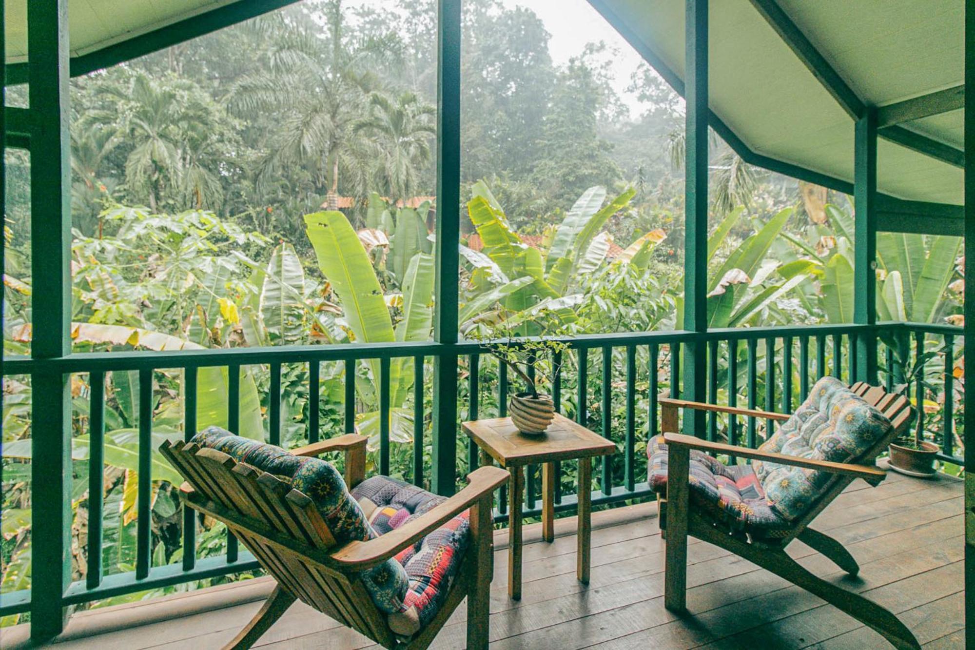 Casa De Mono Bocas Bed and Breakfast Big Creek Buitenkant foto