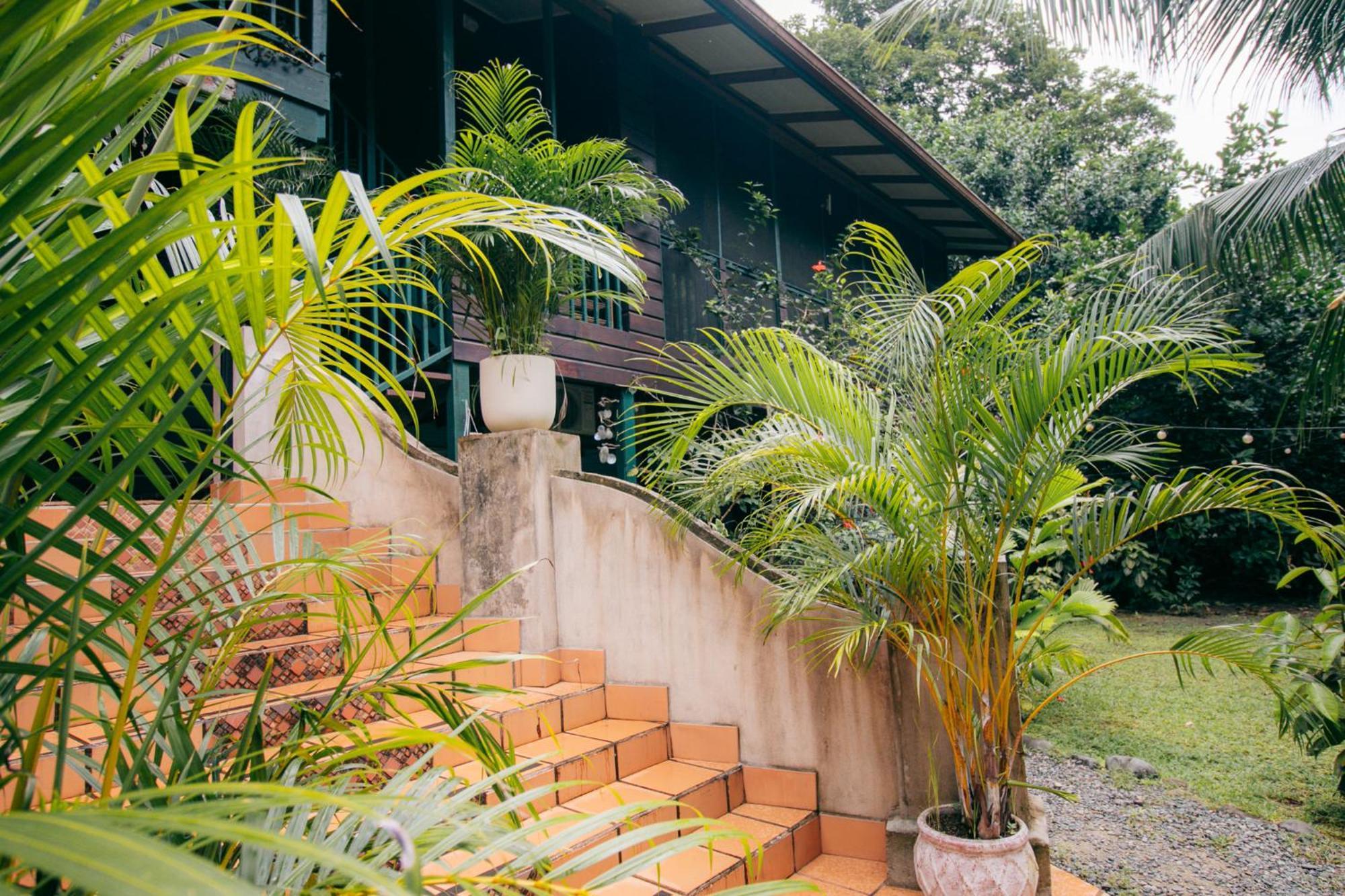 Casa De Mono Bocas Bed and Breakfast Big Creek Buitenkant foto