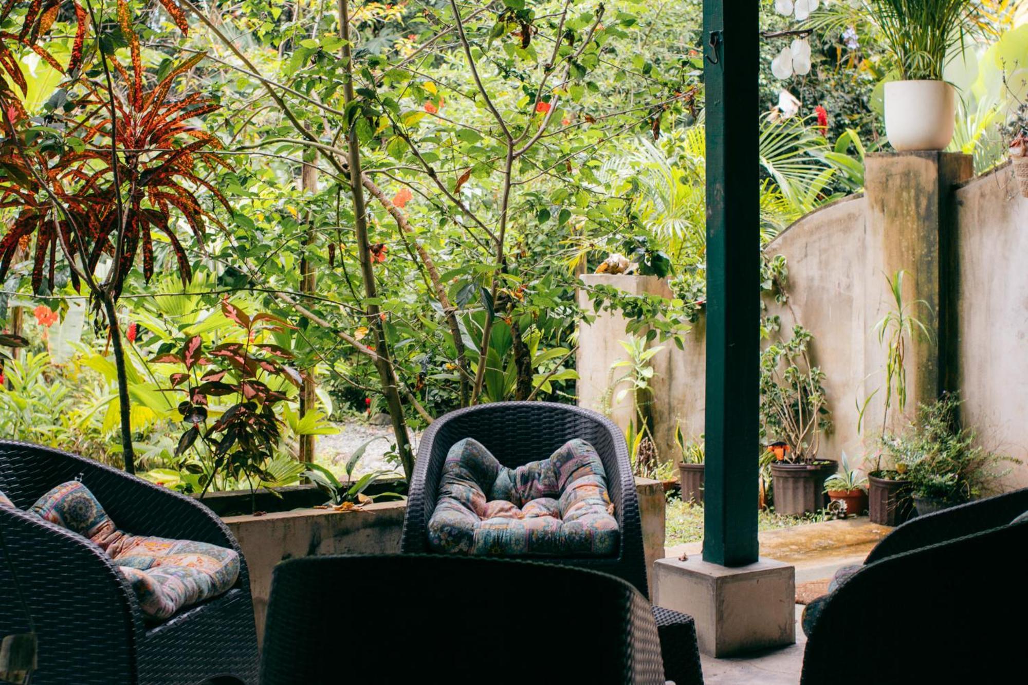 Casa De Mono Bocas Bed and Breakfast Big Creek Buitenkant foto