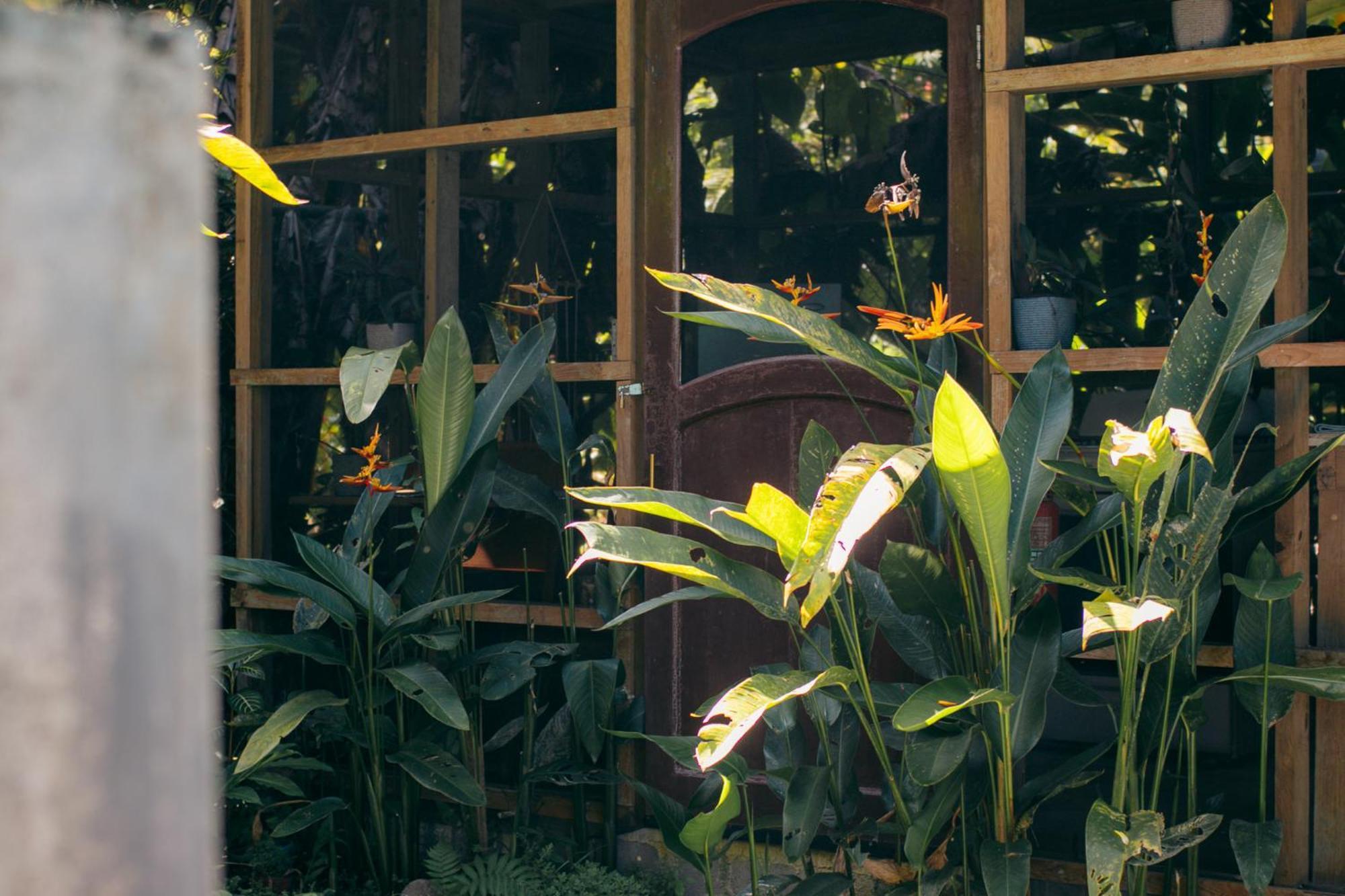 Casa De Mono Bocas Bed and Breakfast Big Creek Buitenkant foto