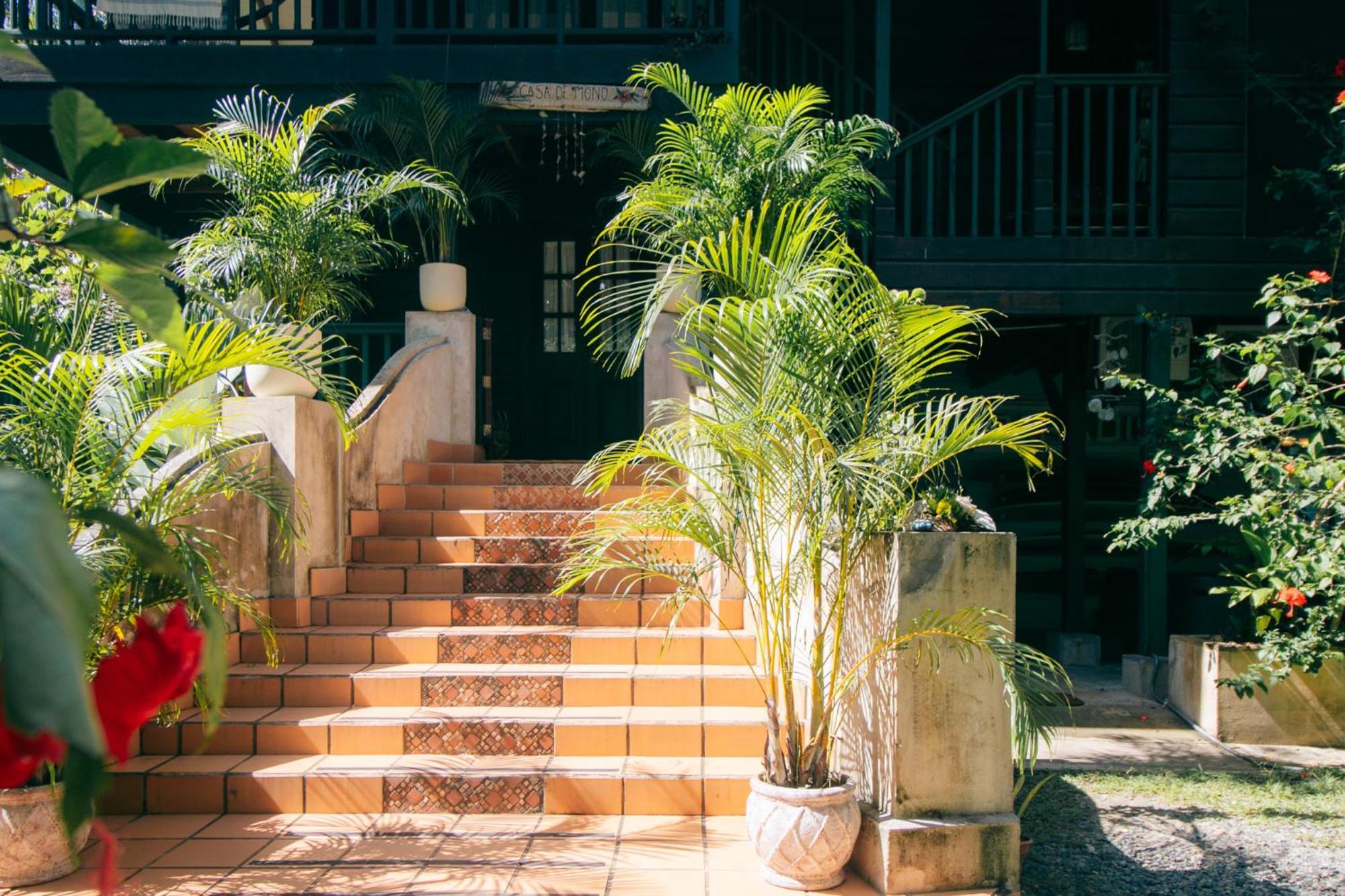 Casa De Mono Bocas Bed and Breakfast Big Creek Buitenkant foto