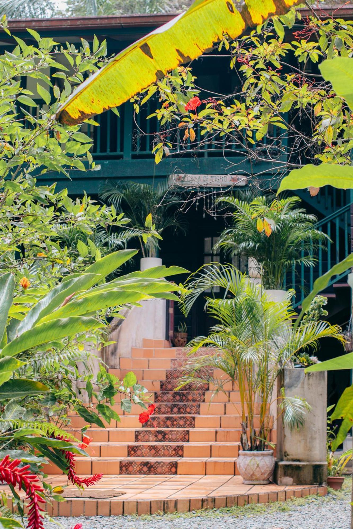 Casa De Mono Bocas Bed and Breakfast Big Creek Buitenkant foto