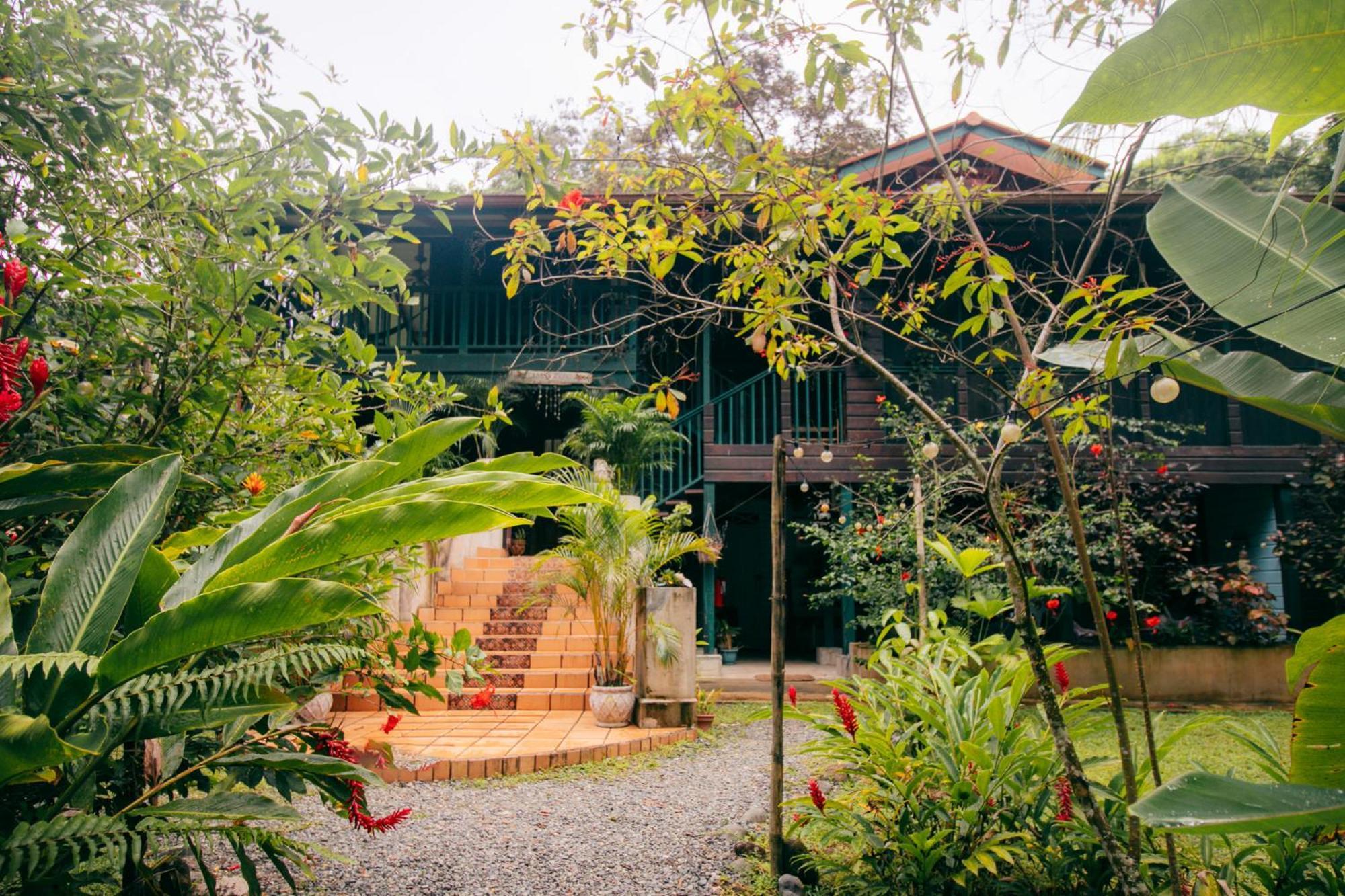 Casa De Mono Bocas Bed and Breakfast Big Creek Buitenkant foto