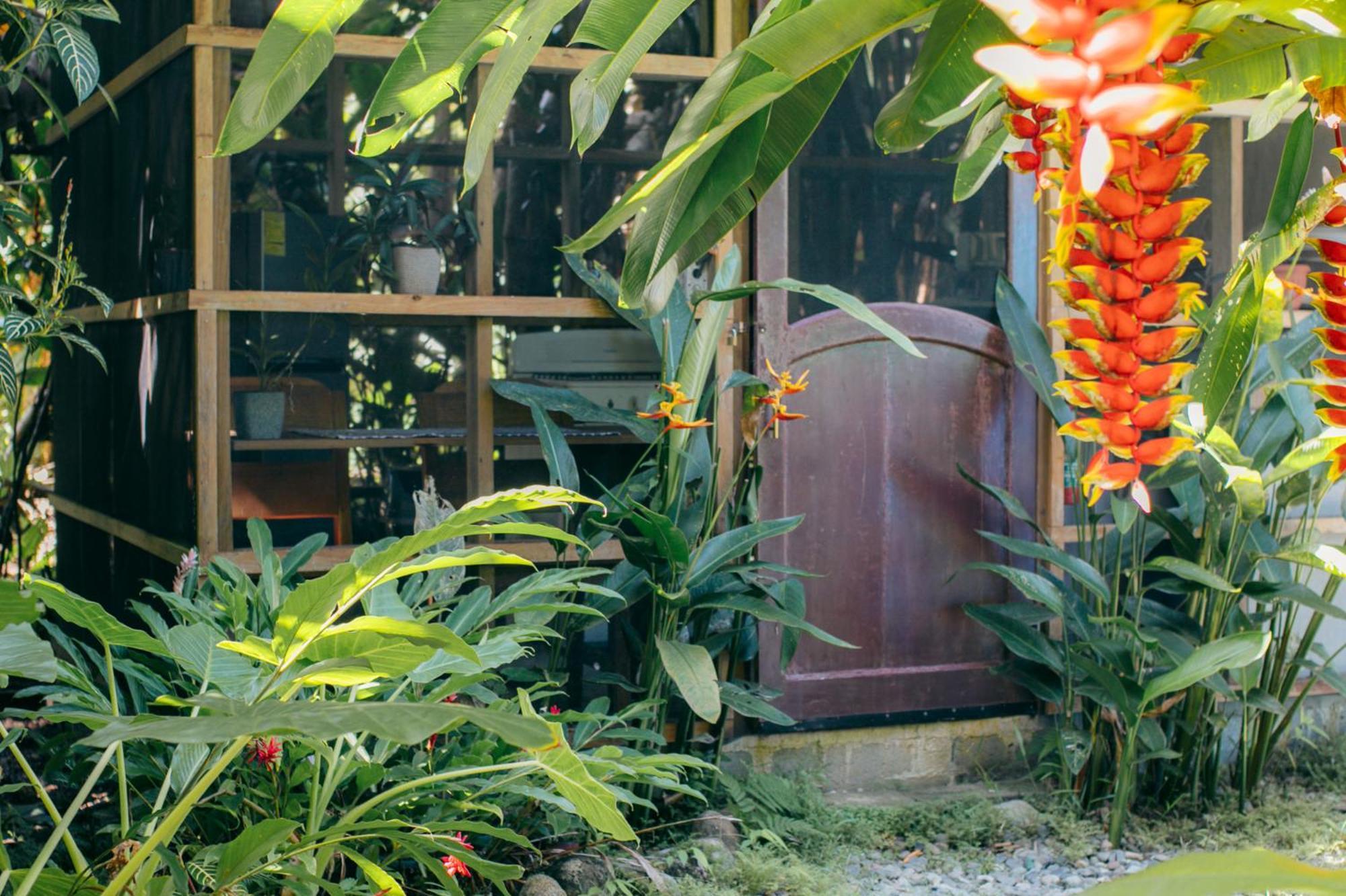 Casa De Mono Bocas Bed and Breakfast Big Creek Buitenkant foto